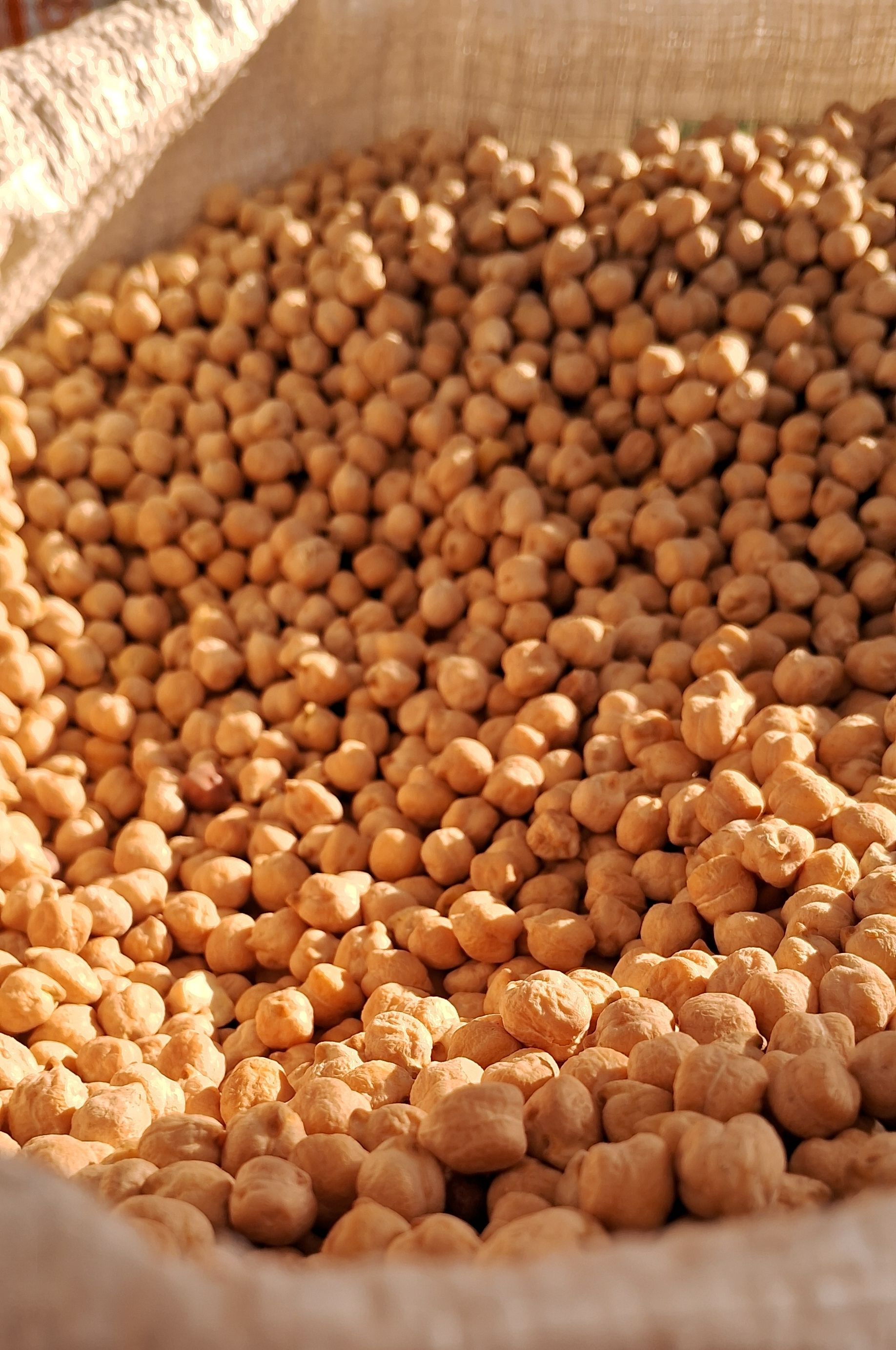 Chickpeas (Garbanzo)